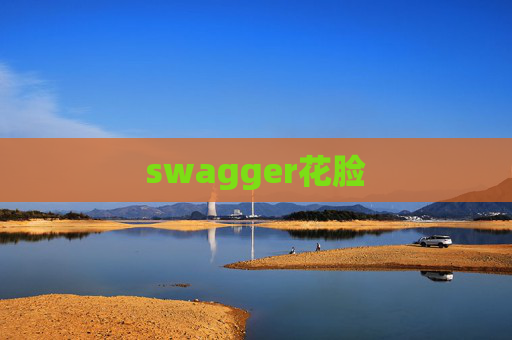 swagger花脸 swagger花脸