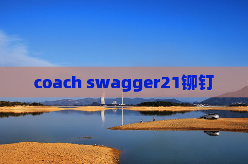 coach swagger21铆钉